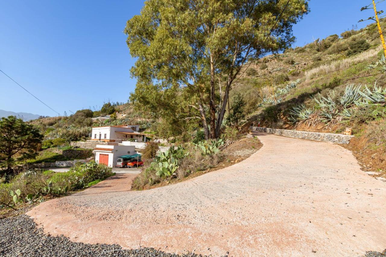 La Cueva De Tito-casa Cueva En Plena Naturaleza Holiday home Santa Brigida (Gran Canaria)
